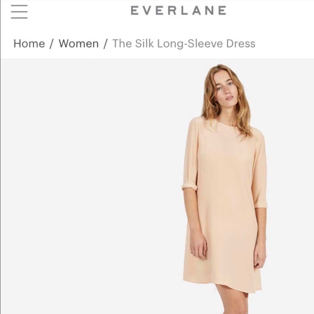 Everlane Silk Dress